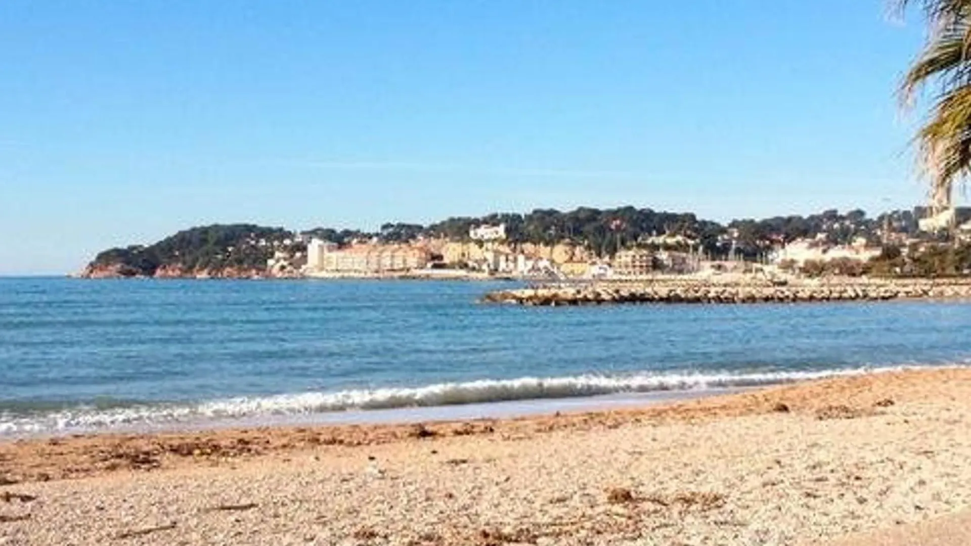 Appartement T2 Avec Piscine, Tennis, Parking - 200M Plages Et Commerces - Fr-1-316-333 Six-Fours-les-Plages
